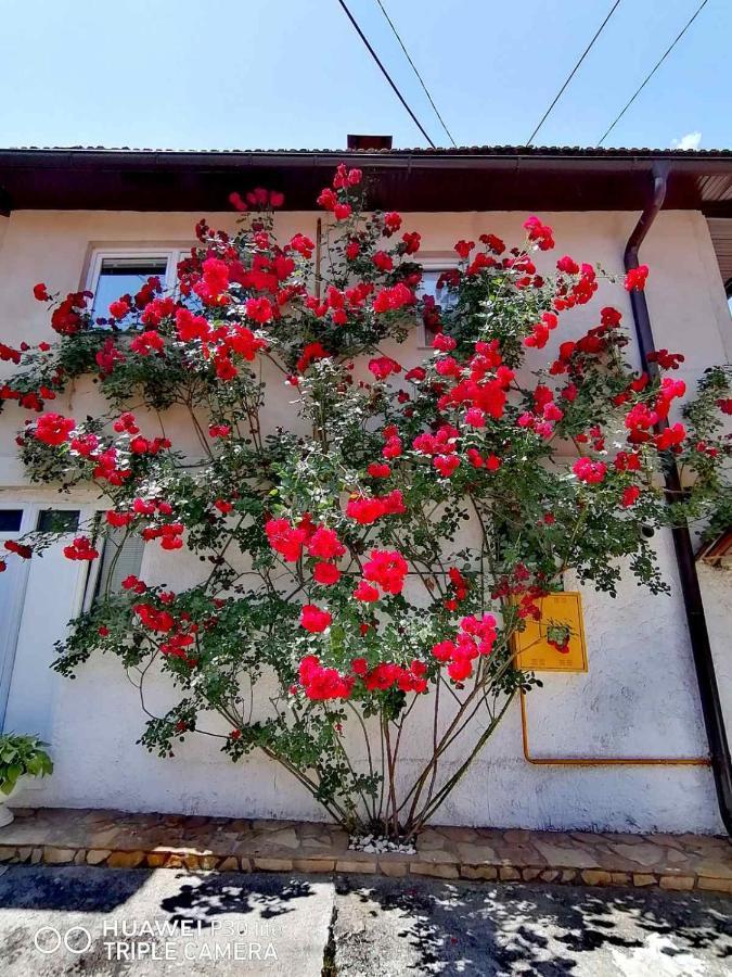 Modern&Cozy Bosnian House With Garden+Free Parking Hotel Szarajevó Kültér fotó