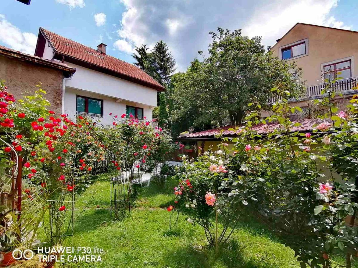 Modern&Cozy Bosnian House With Garden+Free Parking Hotel Szarajevó Kültér fotó