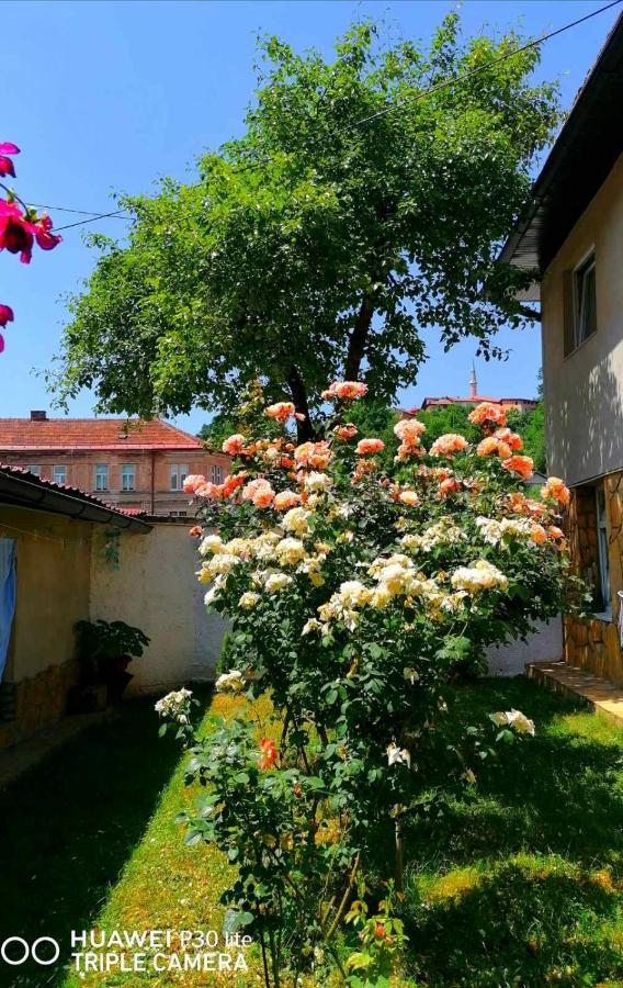 Modern&Cozy Bosnian House With Garden+Free Parking Hotel Szarajevó Kültér fotó