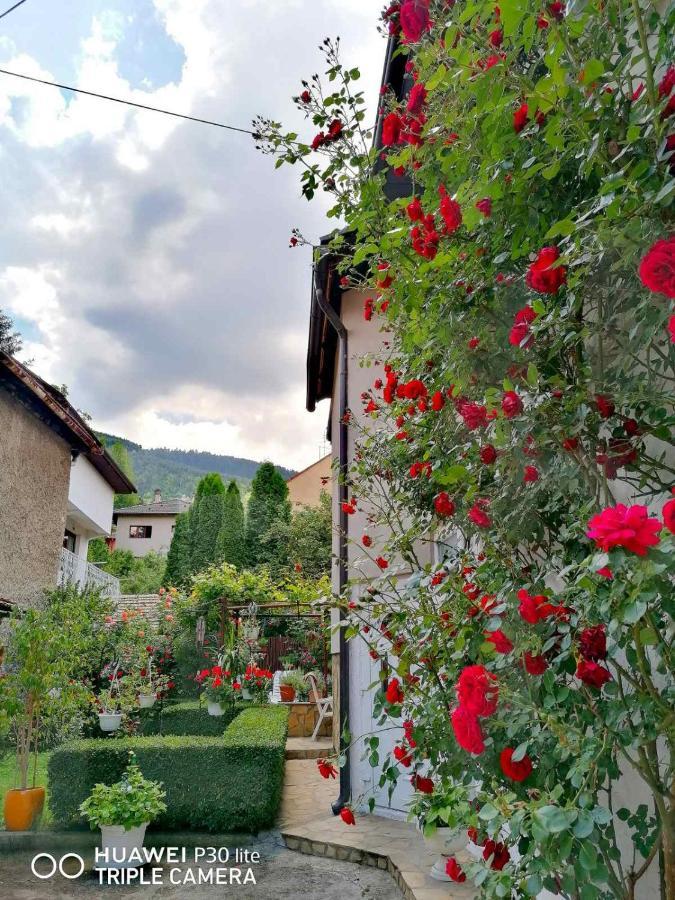 Modern&Cozy Bosnian House With Garden+Free Parking Hotel Szarajevó Kültér fotó