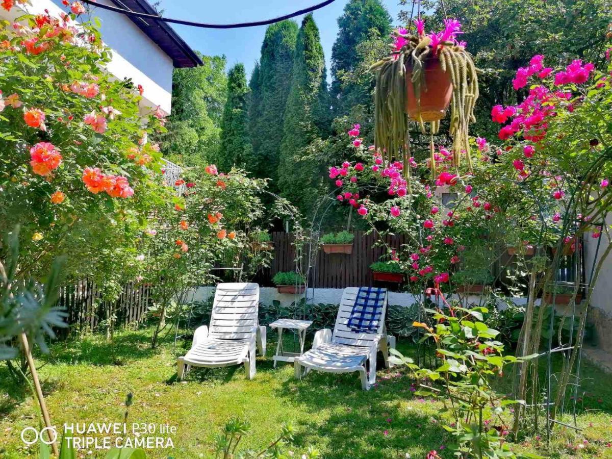 Modern&Cozy Bosnian House With Garden+Free Parking Hotel Szarajevó Kültér fotó